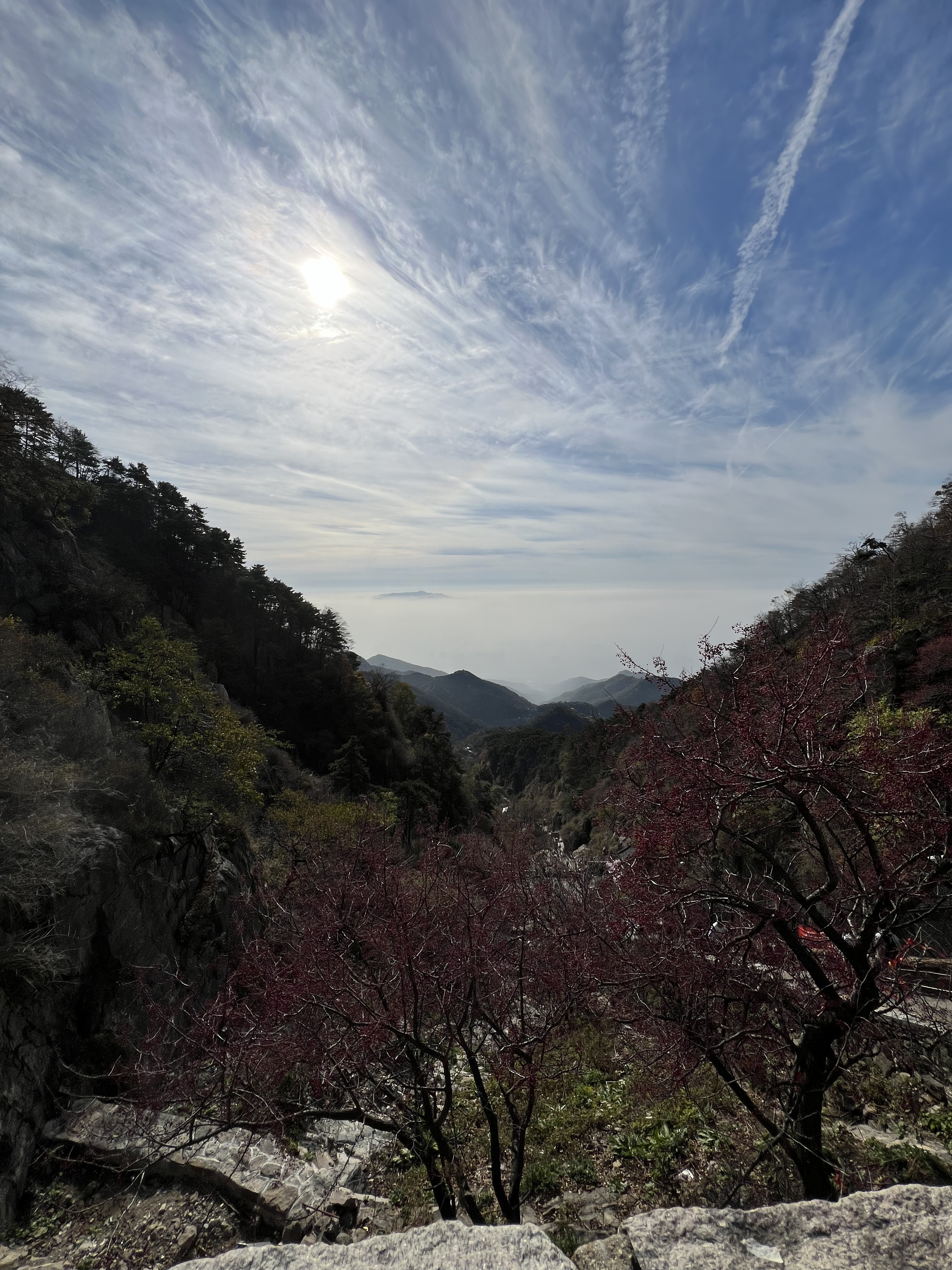 下山远望